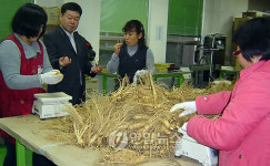 충남도 GAP인증 충남인삼 품질 우수