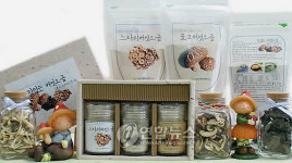 전남 산림자원硏, 천연버섯소금 개발