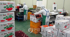농업회사법인 주식회사 세영급식센터 | ⑨ 학교급식 '식재료 시장' 개척