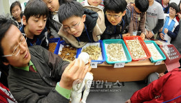 어린이들을 위한 허준학교