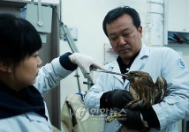 야생동물의 `수호천사 김종택 교수