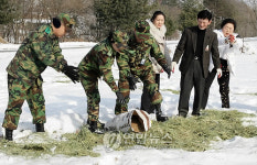 야생동물 아사 막자 충북서 잇단 먹이주기