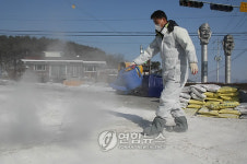 포천 생석회 활용 방역 활발