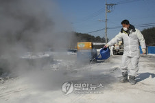 포천 생석회 활용 방역 활발