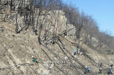 경주시 산불피해 소금강산 조림 복구
