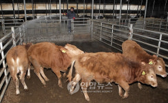 <울산소식> 주민자치센터 운영 활성화