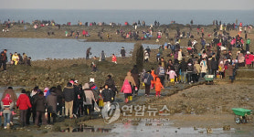 <카메라뉴스>바닷길 열린 무창포해수욕장