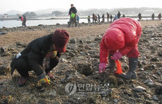 열린 무창포해수욕장 바닷길