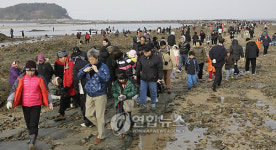 <카메라뉴스>바닷길 열린 무창포해수욕장