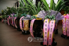 공명선거 홍보 화분