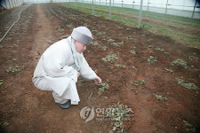 평양 덕동 농장 방문한 자승스님