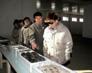 北 김정일, 원평대흥수산사업소 시찰