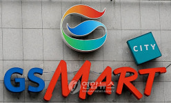 롯데쇼핑, GS마트.백화점 인수