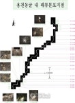 제주 용천동굴 내부 패류 분포도