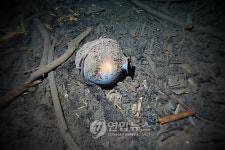 제주 용천동굴 호수의 토기