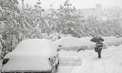 폭설의 대명사 대관령, 하루 59.3㎝..왜?