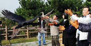 부산 을숙도에 야생동물 보전시설 조성