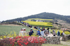 완도 청산도서 4월 슬로우 걷기 축제