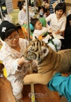 아기호랑이 어린이 병원학교 방문