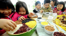  건강에 좋은 우리 잡곡 만나보세요
