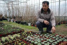 <2010 농촌현장> 야생화로 부농된 서동출 씨