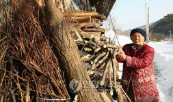 왕산마을의 여유..눈 많이 왔지만..괜찮아유~