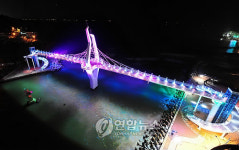 야간 불 밝힌 울산 명선교