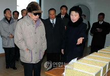 北김정일, 협동농장 현지지도