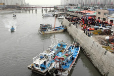 인천 소래포구에도 봄이 왔어요