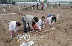 아산 주말농장 지원자 북적