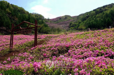 장수군 봉화산 새롭게 단장