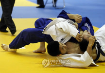 철원 전국유도대회