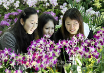 난향에 빠진 여인들