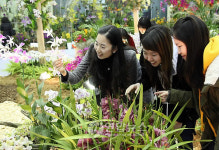 난향에 빠진 여인들