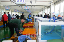 울산 주전에도 수산물 직매장 생겼다