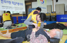 한의사랑봉사회, 한방의료 봉사활동