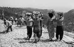 동해시 개청 30주년 기념 사진전