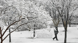 눈에 덮인 인천 중앙공원