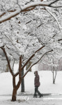 눈에 덮인 인천 중앙공원