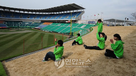 문학구장의 그린존