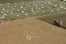농사준비로 바쁜 춘천 농촌들녘