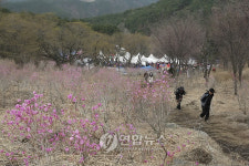 진달래 핀 산길을 따라