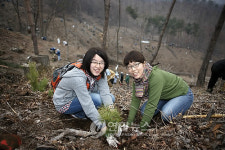 유한킴벌리 5,000만 그루 나무심기