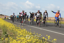 제주 유채꽃길 달리는 日 사이클 관광객
