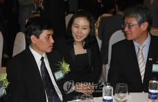 태광비나, 베트남 발전소 계약