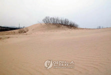 생태관광지로 개발되는 태안 신두사구