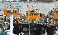금양솔라제주4호 | 인천항에 도착한 금양97호