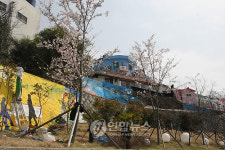 봄 하늘 아래 아름다운 벽화마을