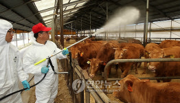 다시 구제역, 다시 방역 강화