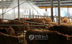 다시 구제역, 다시 방역 강화